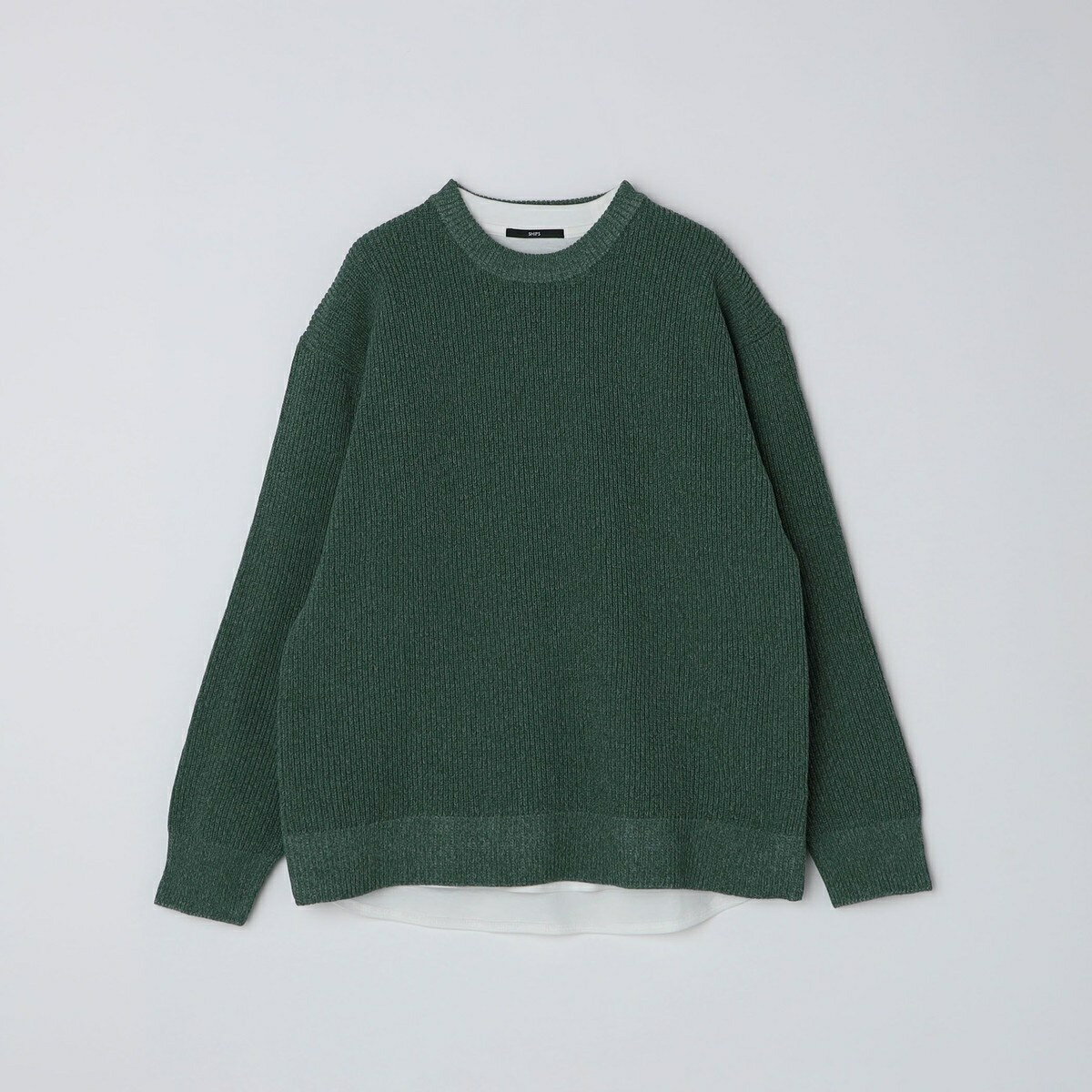 WEBSHIPS: ӥå륨å 롼ͥå 쥤䡼 ˥åȡʥ˥å+TˡåץSHIPS