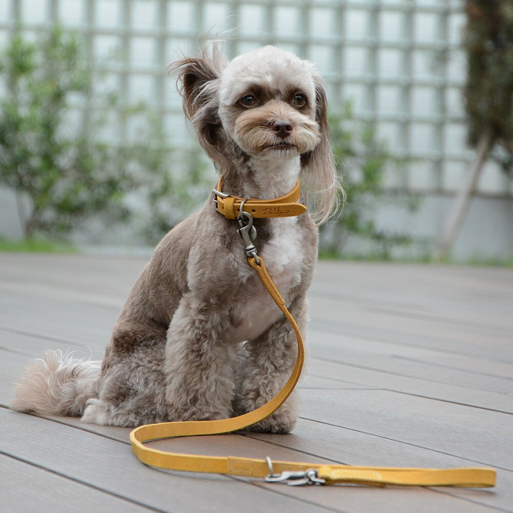 LDV301 カラードレザーリーシュ110 【S M】 イタリアンレザー ハーネス／ダウィンチ（Da Vinci）