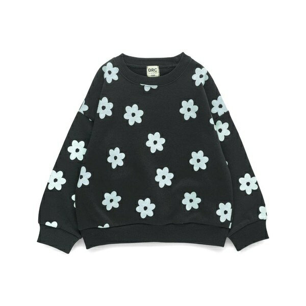 【DRC/裏起毛】アソートグラフィックトレーナー／ブランシェス（branshes）