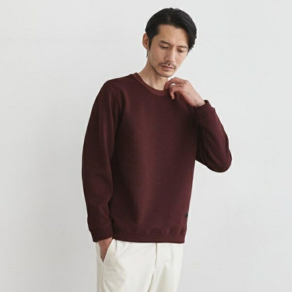 ニットライク プルオーバー／タケオキクチ（TAKEO KIKUCHI）