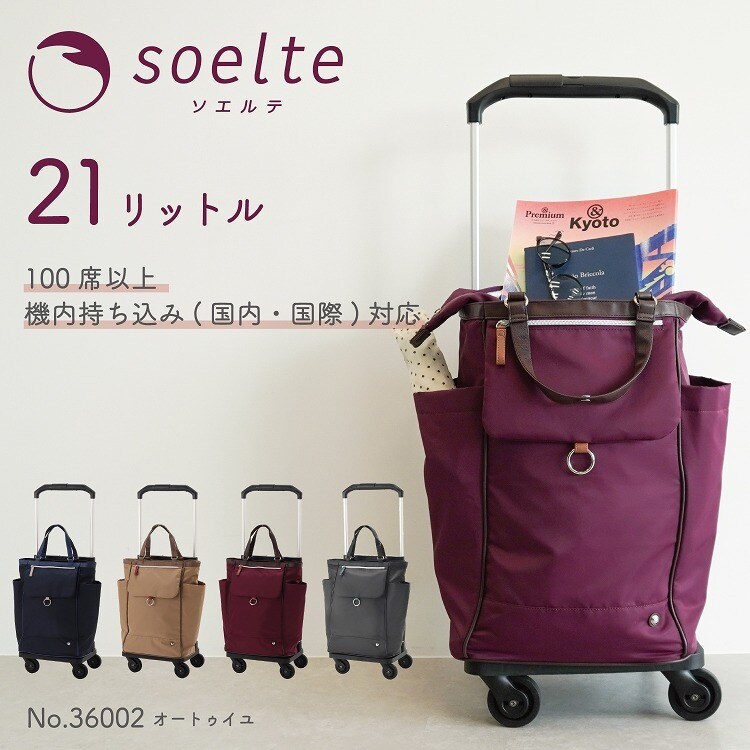 楽天市場】ソエルテ アルディート 20l エース aceの通販