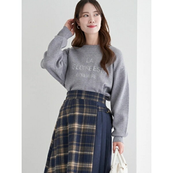 スフレシルバーロゴプルーオーバー／ルディックパーク（Ludic Park）