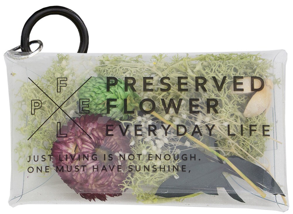 プリザーブドフラワーアレンジメント　PFEL　クリアポーチ　アイスランドモスモスグリーン／パレット（..