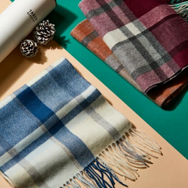 チェックカシミヤマフラー／タケオキクチ（TAKEO KIKUCHI）