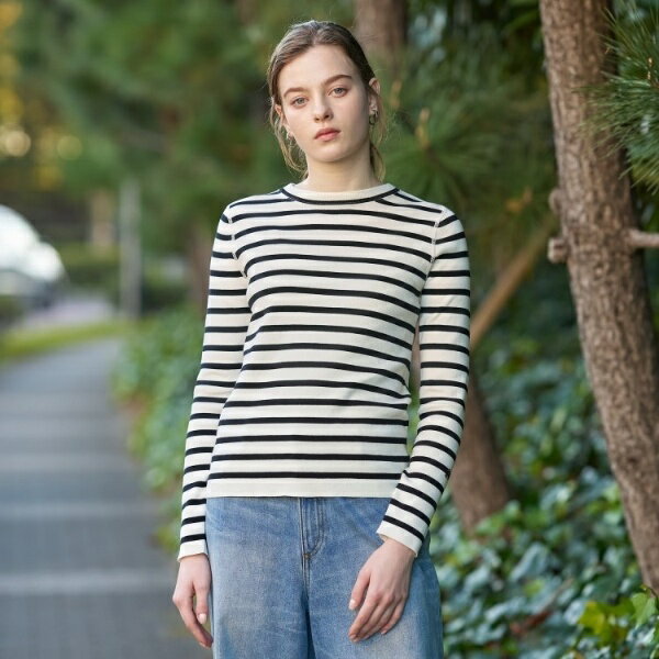 コットンフルニードルボーダー／ドレステリア（DRESSTERIOR）