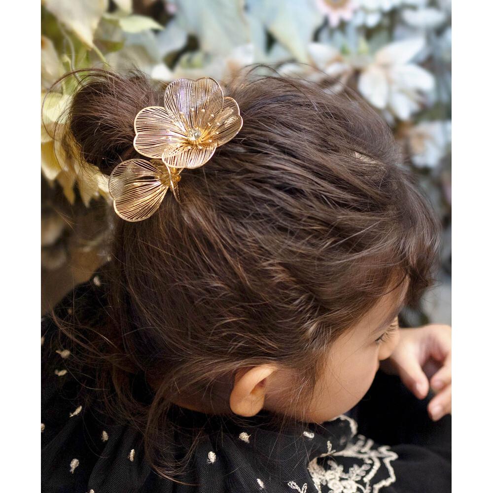 Rora ���饷�� �إ�����åס��Хå��䡼�ɥե��ߥ꡼��BACKYARD FAMILY��