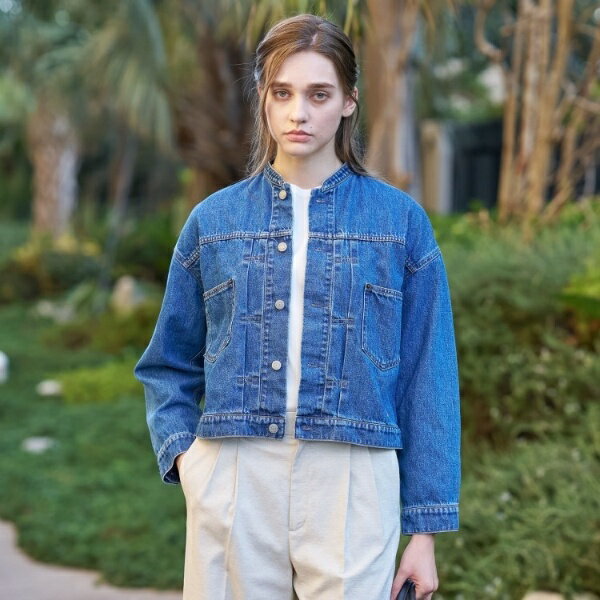 ヴィンテージバンドカラーGジャン／ドレステリア（DRESSTERIOR）