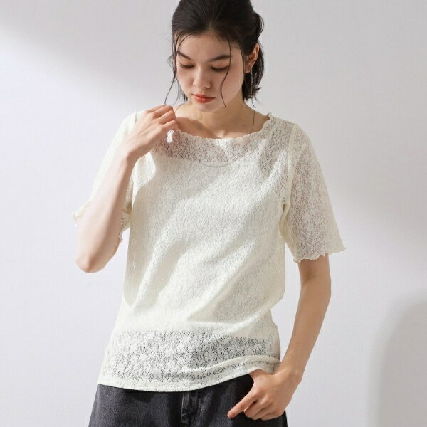 繊細で上品な レース5分袖トップス／ザ ショップ ティーケー（THE SHOP TK）