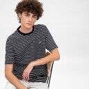 鹿の子地ボーダーTシャツ/ラコステ(LACOSTE)