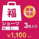 【2020冬福袋】 レディース ショーツ 3枚入り 数量限定／福助（FUKUSKE）