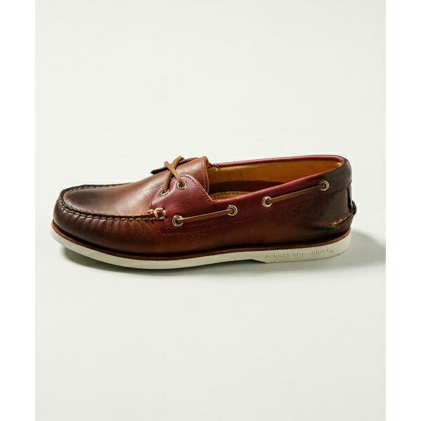 SPERRY/GOLDA/O2-EYECAMDEN