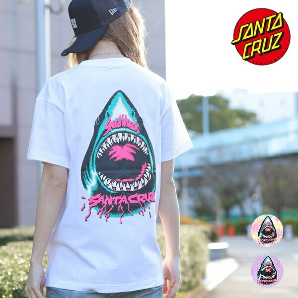 【SANTA CRUZ/サンタクルーズ】Tシャツ 　502201421／その他のブランド（other）