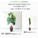 0101pp-shop:10008333のサンプル画像2