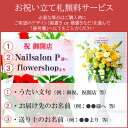 0101pp-shop:10008333のサンプル画像3
