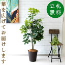フェイクグリーン シェフレラ H約130cm 鉢付き / 人工観葉植物 観葉植物 フェイク 造花 店舗 装飾 開店 開業 移転 祝い ギフト プレゼント おしゃ...