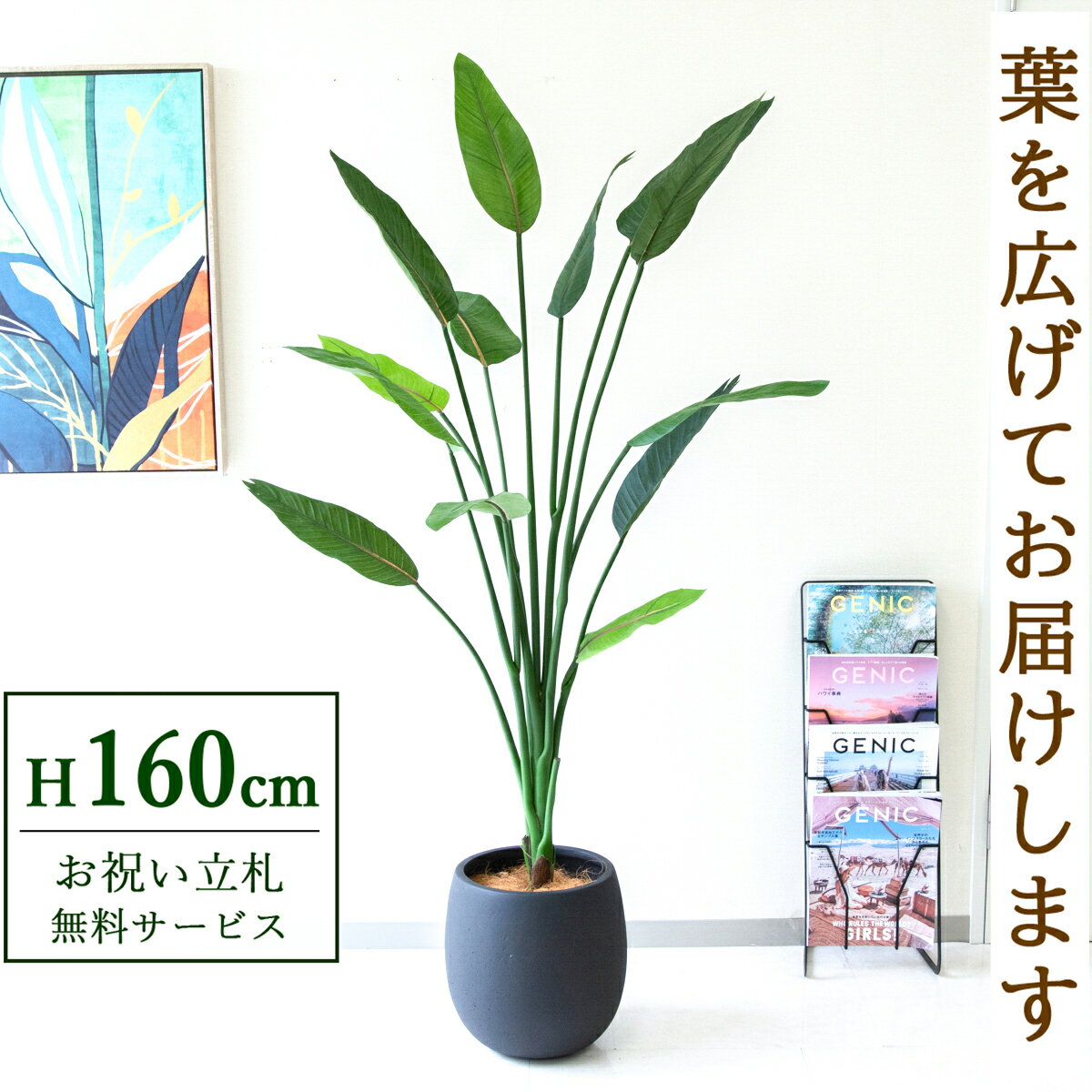 Rakuten - フェイクグリーン 観葉植物 人工観葉植物 ストレチア 160cm 鉢付き / 立札無料 送料無料 法人・開店祝い 店舗・オフィス装飾 空間演出 造花/PG122-BAL30BK