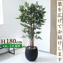 フェイクグリーン トネリコツリー H約180cm 鉢付き / 人工観葉植物 観葉植物 フェイク 造花 大型 大きい 店舗 装飾 開店 開業 移転 祝い ギフト ...