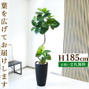 フェイクグリーン ツイストウンベラータ H約185cm 鉢付き / 人工観葉植物 観葉植物 フェイク 造花 大型 大きい 店舗 装飾 開店 開業 移転 祝い ギ...