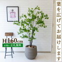 フェイクグリーン ツツジ H約160cm 鉢付き / 人工観葉植物 観葉植物 フェイク 造花 店舗 装飾 開店 開業 移転 祝い ギフト プレゼント おしゃれ ...