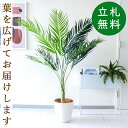 人工 観葉植物 フェイク グリーン アレカパーム H約155cm 店舗 装飾 開店 開業 移転 祝い ギフト プレゼント 住宅展示場 モデルハウス オフィス [お祝い立札無料]【PG165-A265WH アレカパーム H約155cm/ポリプロピレン鉢 】