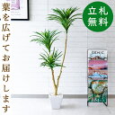 フェイクグリーン ドラセナスリム H約120cm 鉢付き / 人工観葉植物 観葉植物 フェイク 造花 店舗 装飾 開店 開業 移転 祝い ギフト プレゼント お...