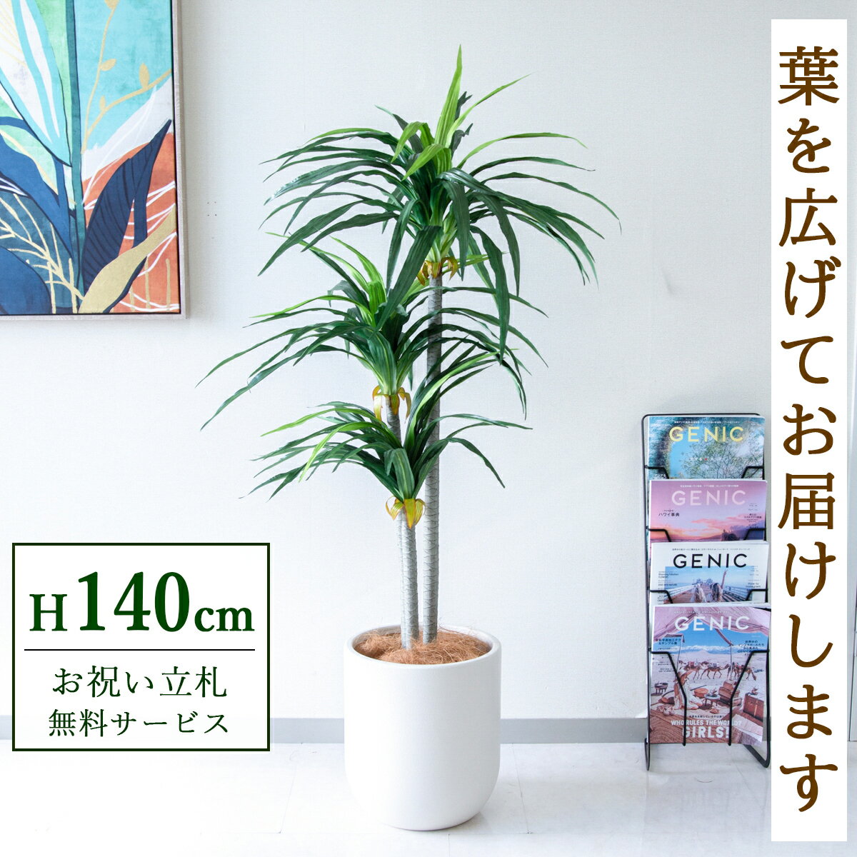 Rakuten - フェイクグリーン 観葉植物 人工観葉植物 ドラセナ 140cm 鉢付き / 立札無料 送料無料 法人・開店祝い 店舗・オフィス装飾 空間演出 造花/PG180-CHC29IV