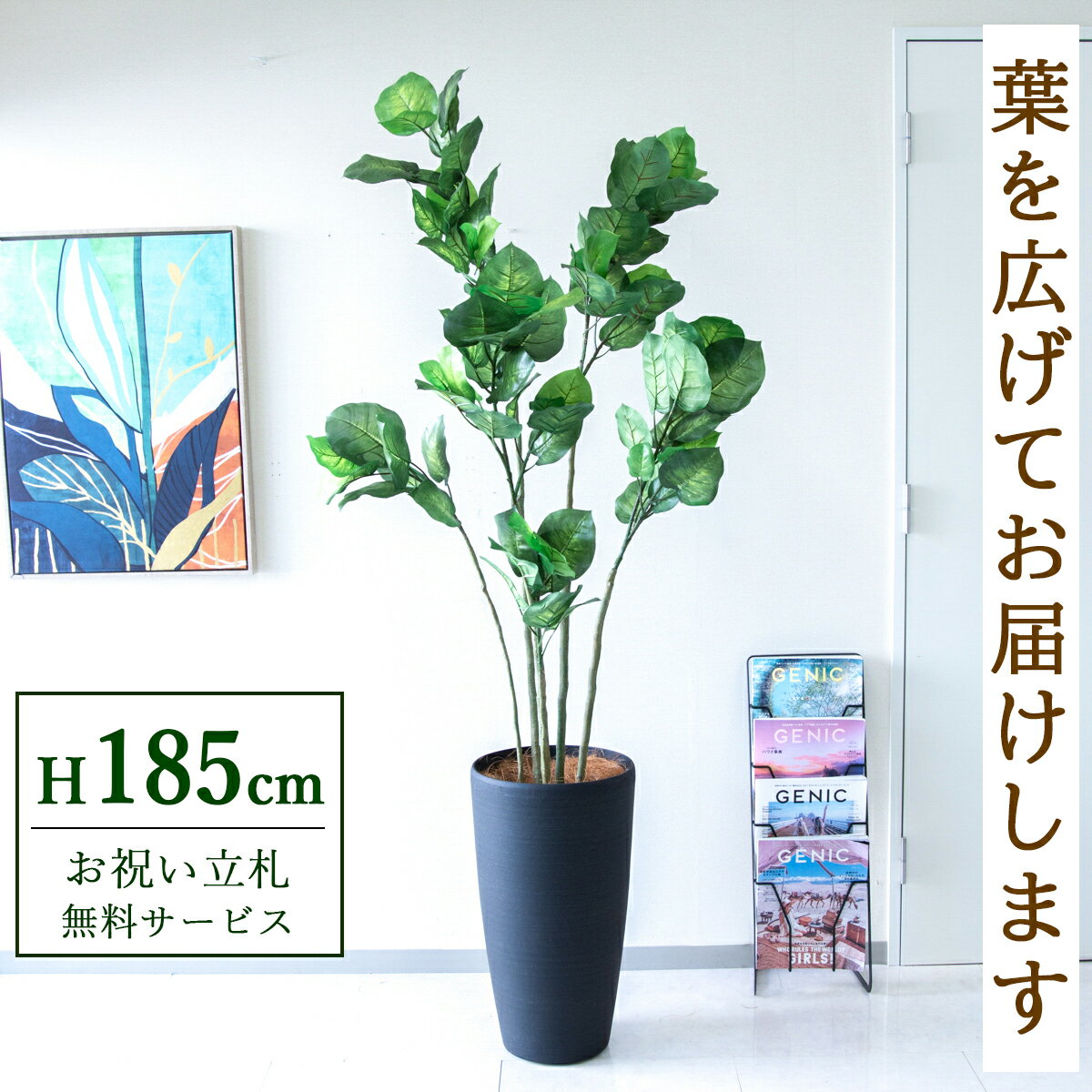 フェイクグリーン 観葉植物 人工観葉植物 フィカス ウンベラータ 大型 185cm 鉢付き / ★立札無料★ 法人・開店祝い 店舗・オフィス装飾 空間演出 造花/PG190-ZAG32BK
