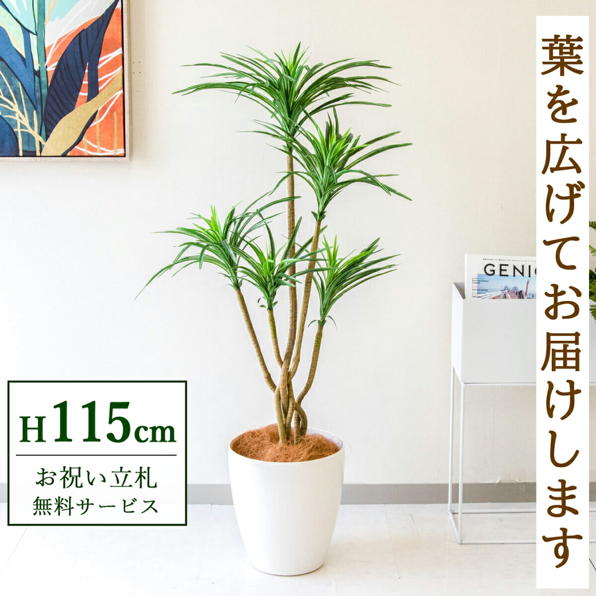 Rakuten - フェイクグリーン 観葉植物 人工観葉植物 ユッカ 115cm 鉢付き / 立札無料 送料無料 法人・開店祝い 店舗・オフィス装飾 空間演出 造花/PG198-A265WH