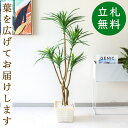 フェイクグリーン ユッカポット H約115cm 鉢付き / 人工観葉植物 観葉植物 フェイク 造花 店舗 装飾 開店 開業 移転 祝い ギフト プレゼント おし...