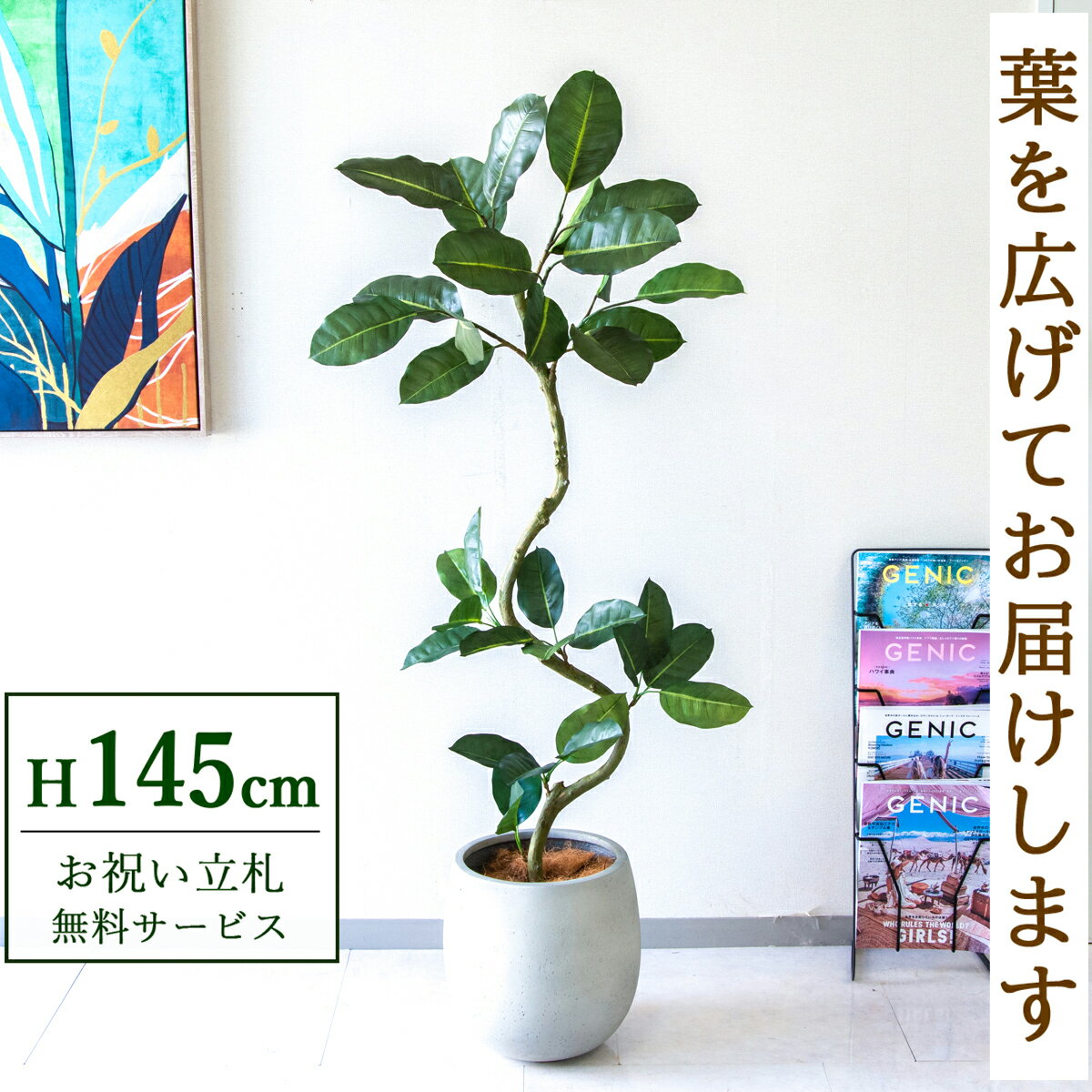 フェイクグリーン 観葉植物 人工観葉植物 フィカス ゴムの木 145cm 鉢付き / 立札無料 送料無料 法人・開店祝い 店舗・オフィス装飾 空間演出 造花/PG1003-BAL30IV