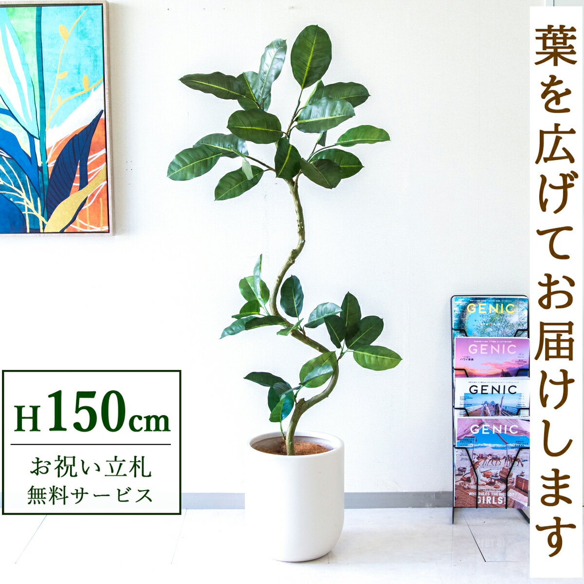 フェイクグリーン 観葉植物 人工観葉植物 フィカス ゴムの木 150cm 鉢付き / 立札無料 送料無料 法人・開店祝い 店舗・オフィス装飾 空間演出 造花/PG1003-CHC29IV