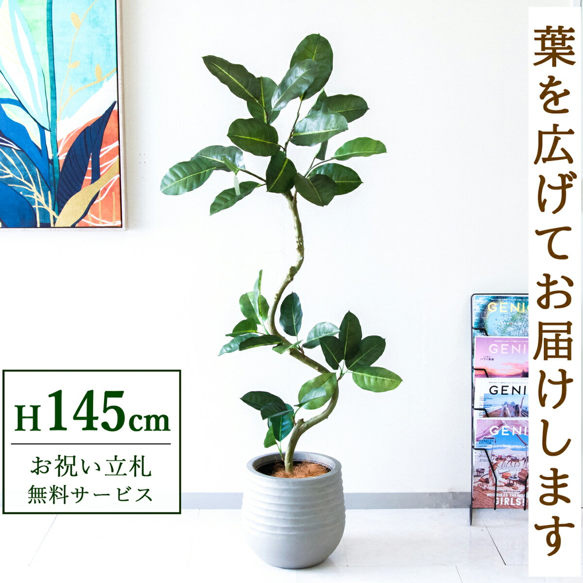 Rakuten - フェイクグリーン 観葉植物 人工観葉植物 フィカス ゴムの木 145cm 鉢付き / 立札無料 送料無料 法人・開店祝い 店舗・オフィス装飾 空間演出 造花/PG1003-J30
