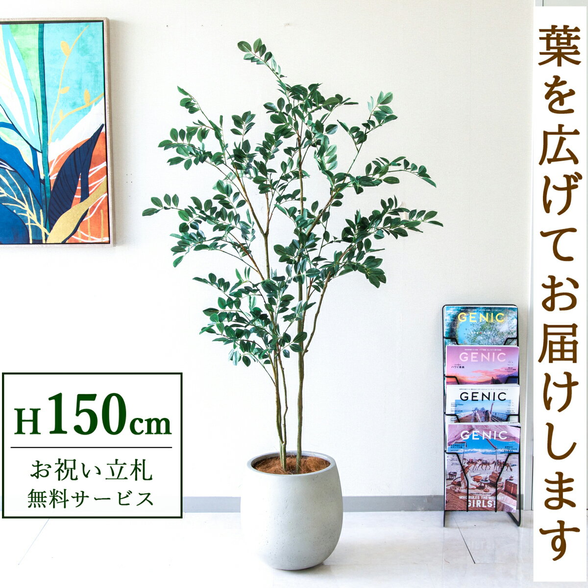 Rakuten - フェイクグリーン 観葉植物 人工観葉植物 フィカス ベンジャミン 150cm 鉢付き / 立札無料 送料無料 法人・開店祝い 店舗・オフィス装飾 空間演出 造花/PG1004-BAL30IV