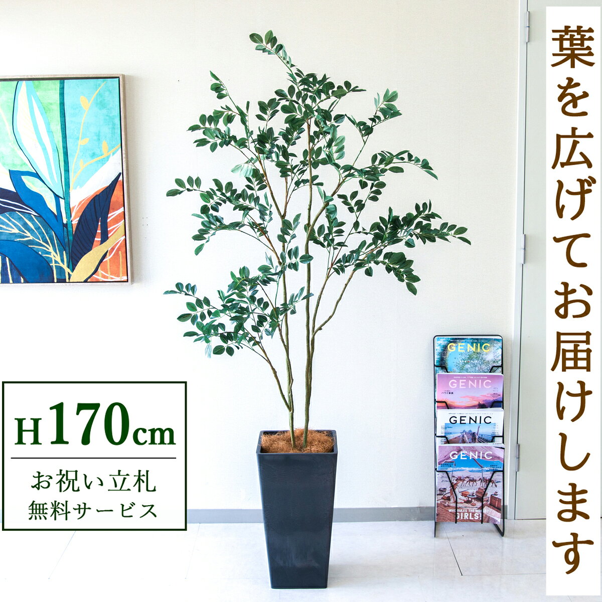 フェイクグリーン 観葉植物 人工観葉植物 フィカス ベンジャミン 大型 170cm 鉢付き / 立札無料 送料無料 法人・開店祝い 店舗・オフィス装飾 空間演出 造花/PG1004-Q25BK