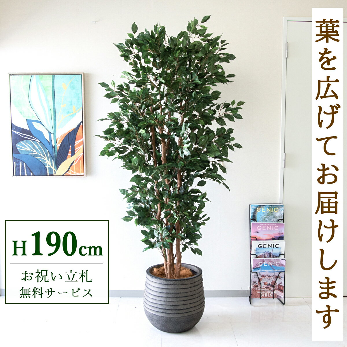 楽天市場】人工観葉植物 ベンジャミの通販