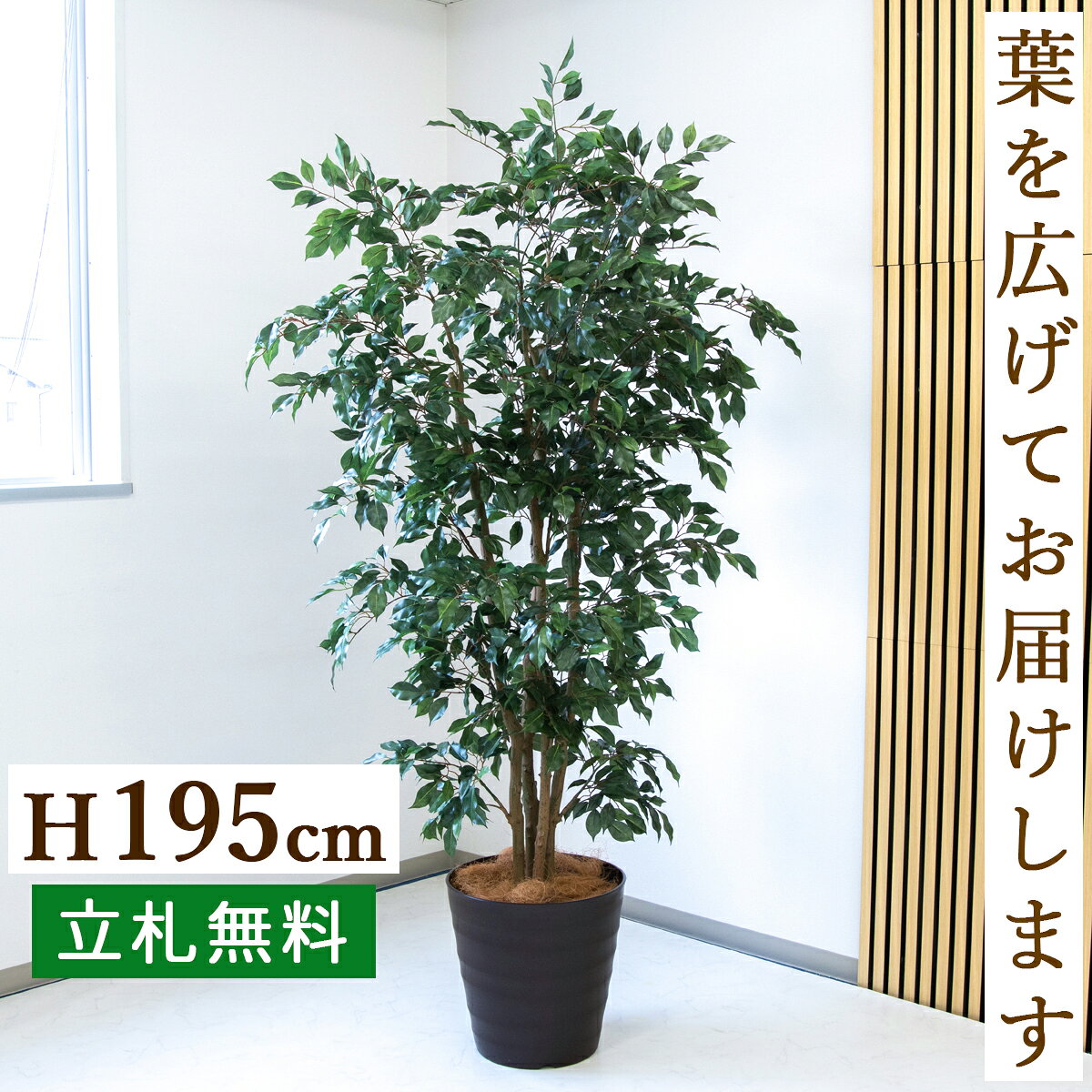 Benjamin - フェイクグリーン 観葉植物 人工観葉植物 フィカス ベンジャミン 大型 195cm 鉢付き / 立札無料 送料無料 法人・開店祝い 店舗・オフィス装飾 空間演出 造花/PG1006-M36DB