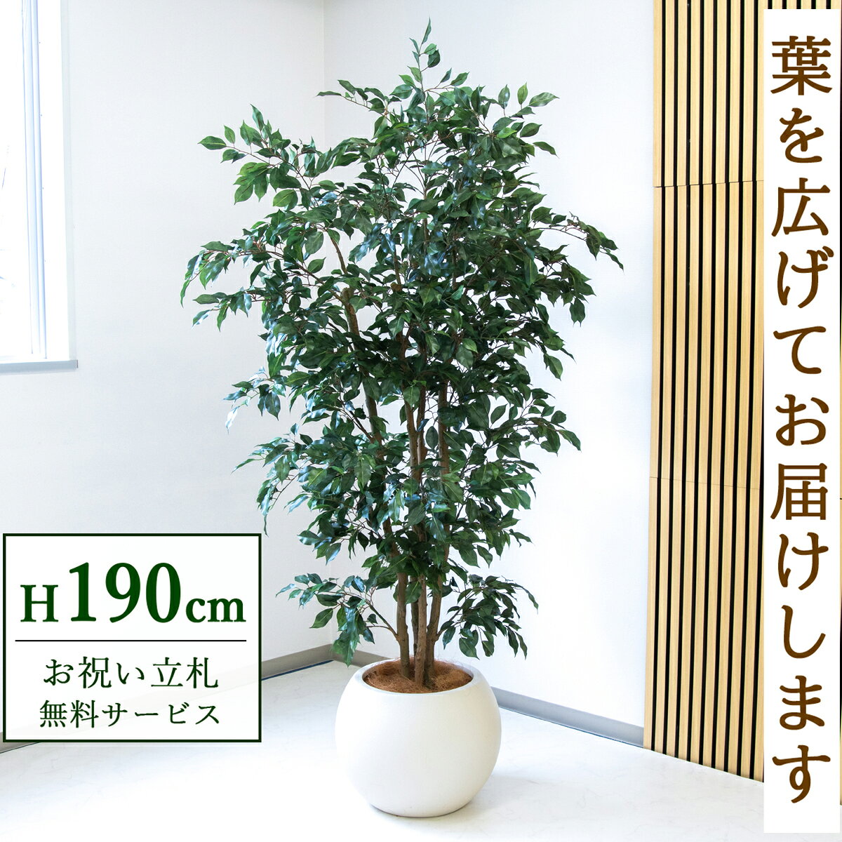 Benjamin - フェイクグリーン 観葉植物 人工観葉植物 フィカス ベンジャミン 大型 190cm 鉢付き / 立札無料 送料無料 法人・開店祝い 店舗・オフィス装飾 空間演出 造花/PG1006-ROM43IV