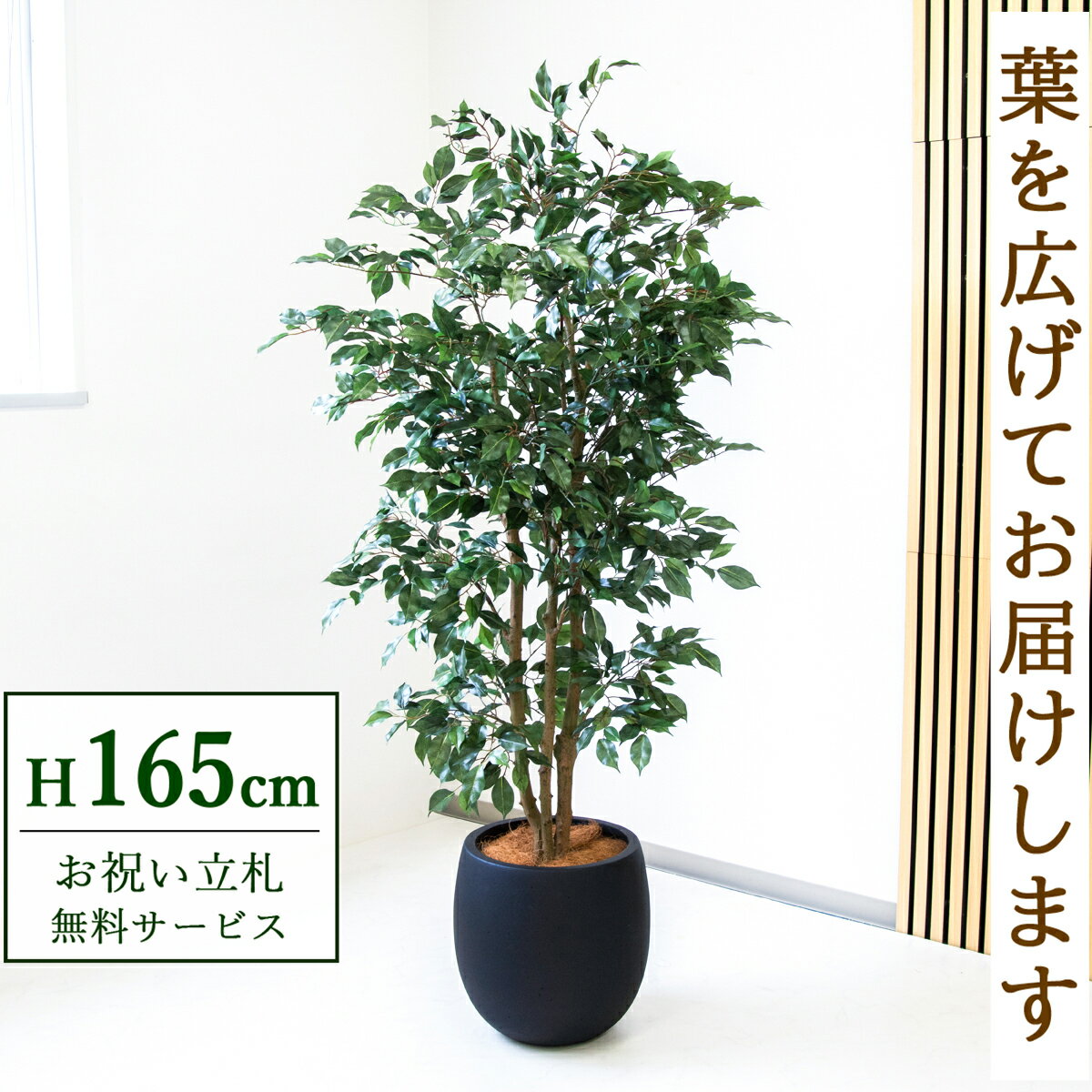 Rakuten - フェイクグリーン 観葉植物 人工観葉植物 フィカス ベンジャミン 165cm 鉢付き / 立札無料 送料無料 法人・開店祝い 店舗・オフィス装飾 空間演出 造花/PG1007-BAL35BK