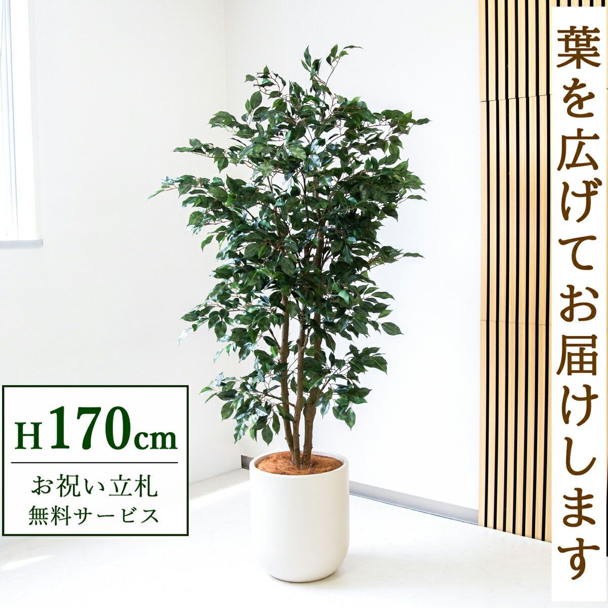 Benjamin - フェイクグリーン 観葉植物 人工観葉植物 フィカス ベンジャミン 大型 170cm 鉢付き / 立札無料 送料無料 法人・開店祝い 店舗・オフィス装飾 空間演出 造花/PG1007-CHC33IV