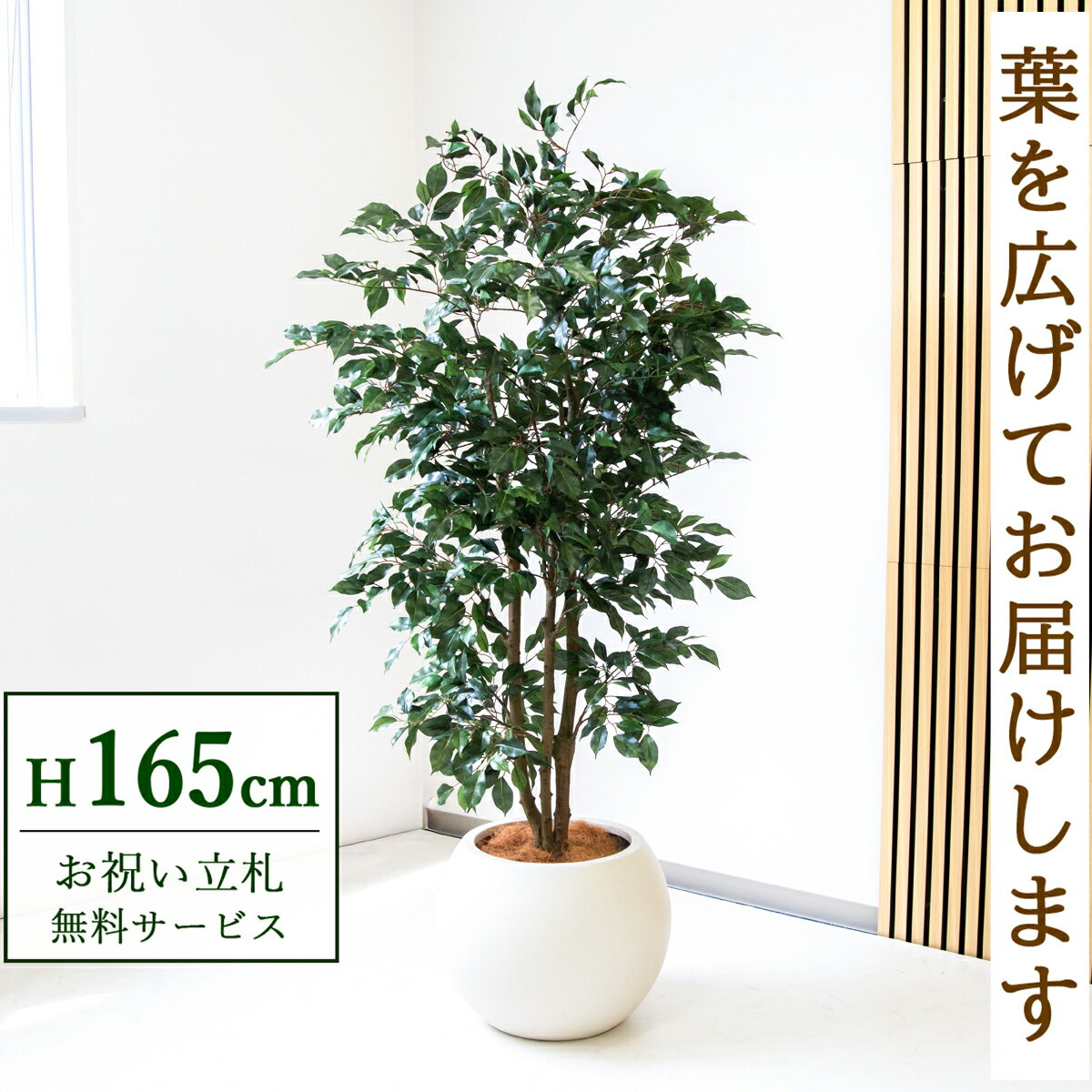 フェイクグリーン 観葉植物 人工観葉植物 フィカス ベンジャミン 165cm 鉢付き / 立札無料 送料無料 法人・開店祝い 店舗・オフィス装飾 空間演出 造花/PG1007-ROM43IV