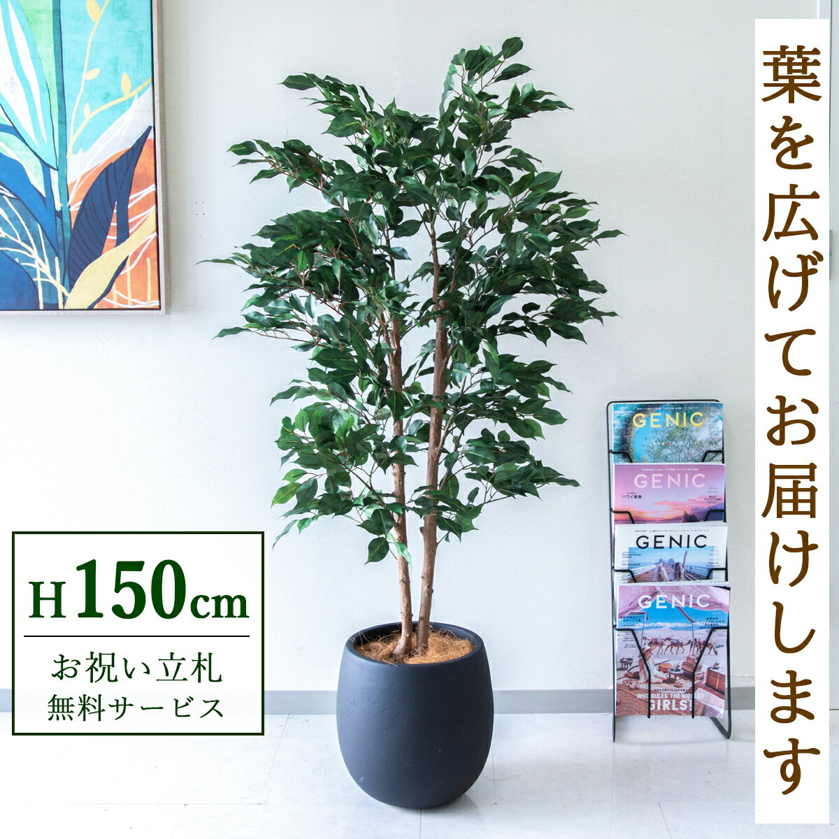 Benjamin - フェイクグリーン 観葉植物 人工観葉植物 フィカス ベンジャミン 150cm 鉢付き / ★立札無料★ 法人・開店祝い 店舗・オフィス装飾 空間演出 造花/PG1008-BAL30BK
