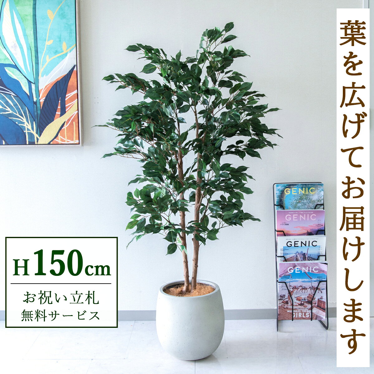 フェイクグリーン 観葉植物 人工観葉植物 フィカス ベンジャミン 145cm 鉢付き / 立札無料 送料無料 法人・開店祝い 店舗・オフィス装飾 空間演出 造花/PG1008-BAL30IV
