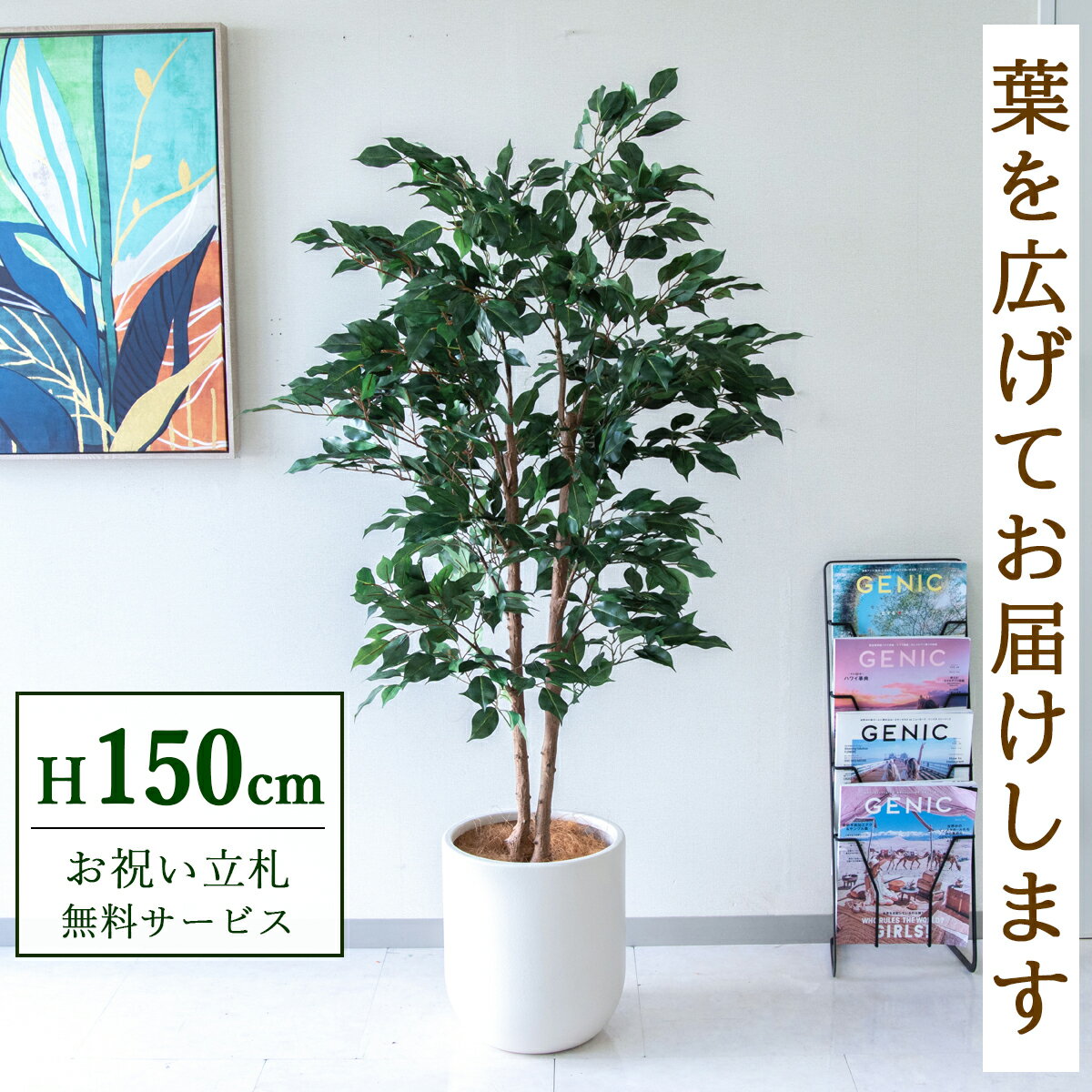 Rakuten - フェイクグリーン 観葉植物 人工観葉植物 フィカス ベンジャミン 150cm 鉢付き / ★立札無料★ 法人・開店祝い 店舗・オフィス装飾 空間演出 造花/PG1008-CHC29IV