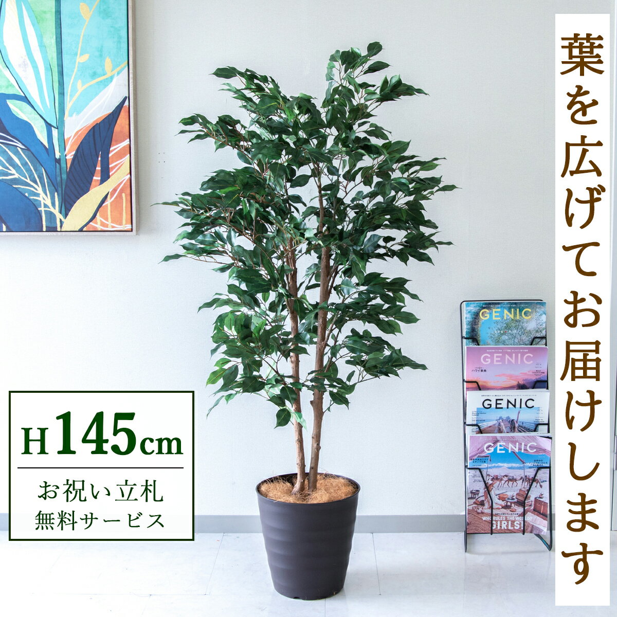 Rakuten - フェイクグリーン 観葉植物 人工観葉植物 フィカス ベンジャミン 145cm 鉢付き / ★立札無料★ 法人・開店祝い 店舗・オフィス装飾 空間演出 造花/PG1008-M27DB