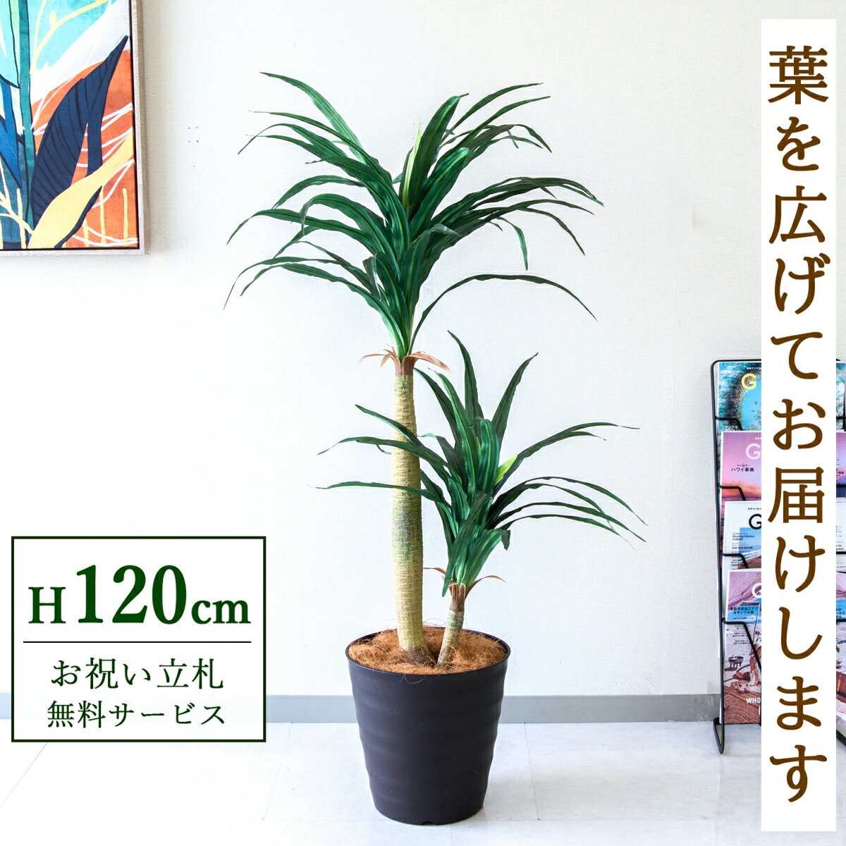 ★立札無料★【すぐ飾れる】 フェイクグリーン 人工観葉植物 ドラセナ 120cm 鉢付き / 法人・開店祝い 店舗・オフィス装飾 空間演出 造花/PG1010-M27DB