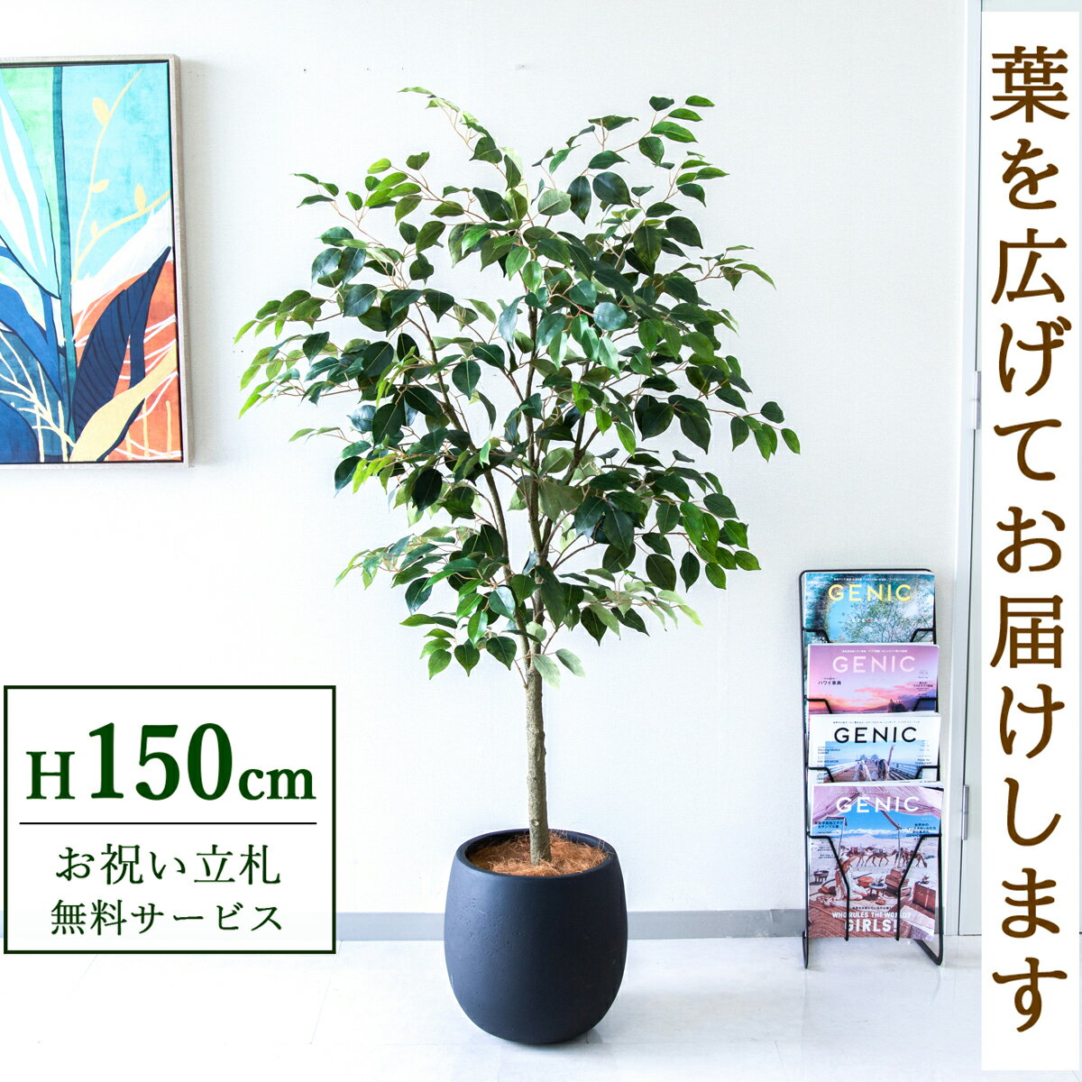 フェイクグリーン 観葉植物 人工観葉植物 フィカス ベンジャミン 150cm 鉢付き / 立札無料 送料無料 法人・開店祝い 店舗・オフィス装飾 空間演出 造花/PG1012-BAL30BK
