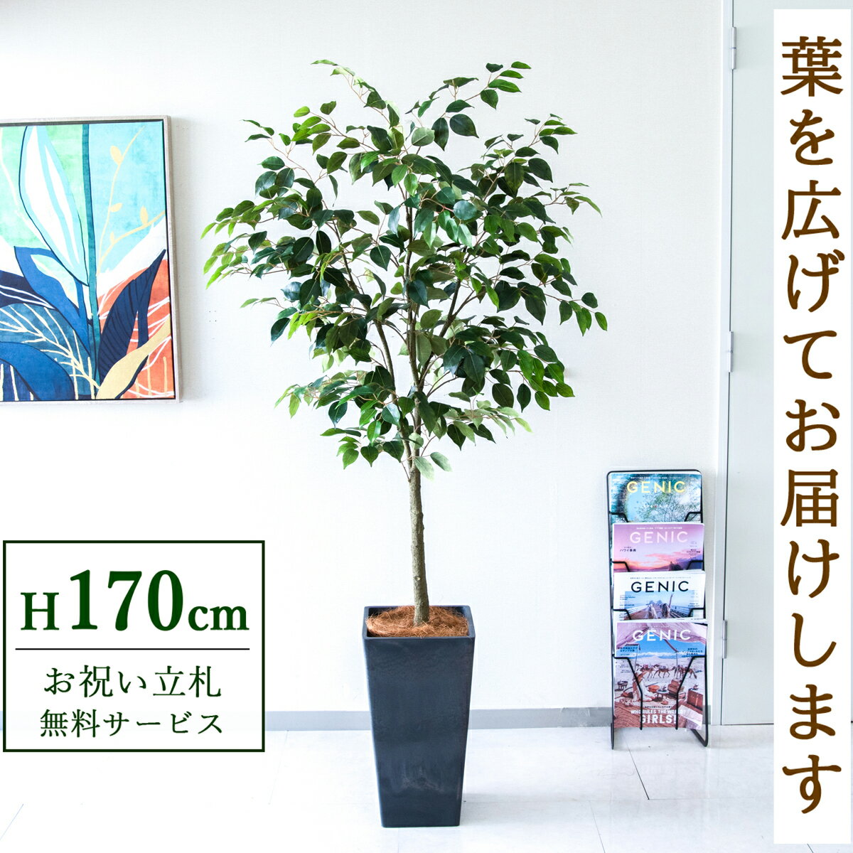 Rakuten - フェイクグリーン 観葉植物 人工観葉植物 フィカス ベンジャミン 大型 170cm 鉢付き / 立札無料 送料無料 法人・開店祝い 店舗・オフィス装飾 空間演出 造花/PG1012-Q25BK