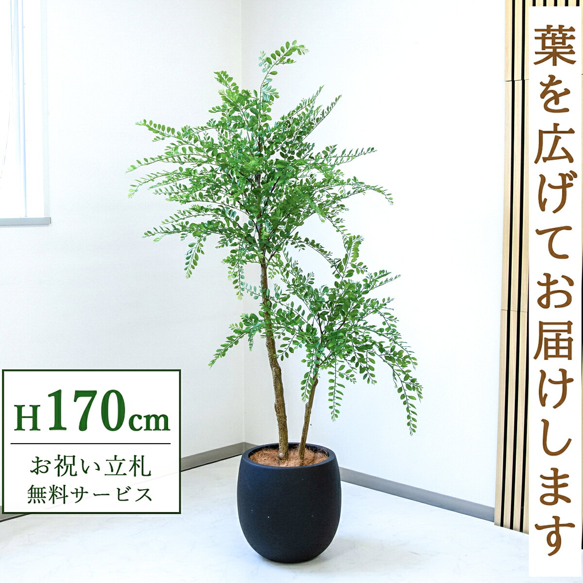 Rakuten - フェイクグリーン 観葉植物 人工観葉植物 トネリコ 大型 170cm 鉢付き / 立札無料 送料無料 法人・開店祝い 店舗・オフィス装飾 空間演出 造花/PG1013-BAL35BK