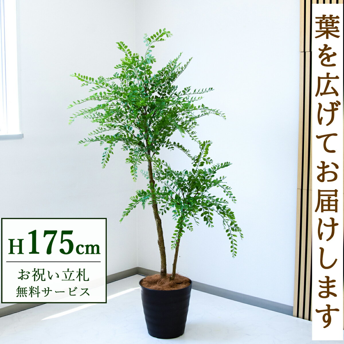 フェイクグリーン 観葉植物 人工観葉植物 トネリコ 大型 175cm 鉢付き / 立札無料 送料無料 法人・開店祝い 店舗・オフィス装飾 空間演出 造花/PG1013-M30DB