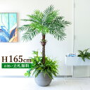 フェイクグリーン フェニックスパームツリー(ヤシの木) H約165cm 鉢付き 2分割 / 人工観葉植物 観葉植物 フェイク 造花 大型 大きいパームツリー 南国 夏 店舗 装飾 開店 開業 移転 祝い おしゃれ 住宅展示場 モデルハウス PG212-J40-UG6(4)